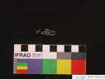 L_V23d1698 J1q875.3 Ux06 dM la f229.jpg L_V23d1698 J1q875.3 Ux06 dM la f229